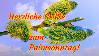 Einen Schönen Palmsonntag💐🌿 Herzliche Grüße zum Palmsonntag💖 Palmsonntag 2024🌷 Grüße für Dich💕 [upl. by Yorle]