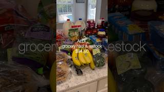 Aldi Grocery Haul amp Restock aldi aldigroceryhaul groceryrestock asmrrestock restockwithme [upl. by Nnylhsa729]