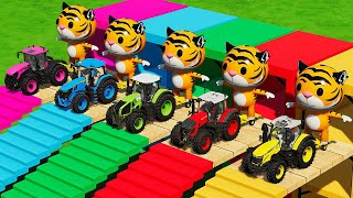 DEUTZ FAHR vs CLAAS vs FENDT vs JCB TRACTORS BATTLE WITH TIGERS amp SUNFLOWER  Farming Simulator 22 [upl. by Eladnor]