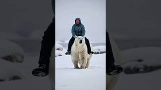 Urso polar é domesticado por esquimós polarbear [upl. by Inanuah]