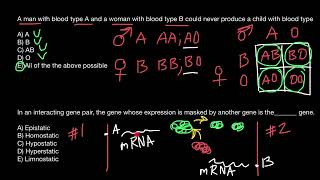 Epistatic vs Hypostatic genes [upl. by Pooi576]