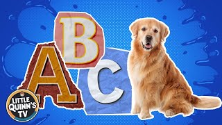 ABC Animals Song for Kids  Fun Learning with Alphabet Animals [upl. by Putnem]