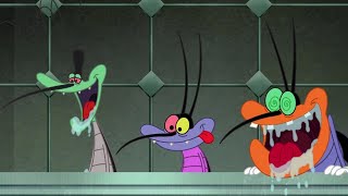 Oggy and the Cockroaches 😍 JACKOMEO AND BOBETTE 😍 Full Episodes HD [upl. by Adlihtam488]