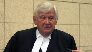 Peter Nygards lawyer Brian Greenspan on the consent to extradition [upl. by Nosa]