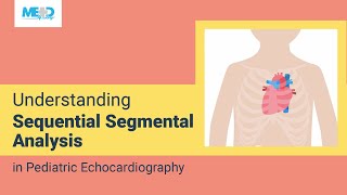 Understanding Sequential Segmental Analysis in Pediatric Echocardiography [upl. by Etteniuqna]