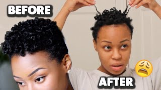 NATURAL HAIR FAIL Why I Gave Up On Growing My 4C Hair 🤷🏽‍♀️ [upl. by Eiraminot525]