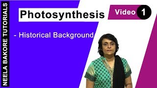 Photosynthesis  NEET  Historical Background  Neela Bakore Tutorials [upl. by Yelyr]