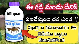 milquat uses in Telugu  milquat none selective herbicide  milquat herbicide paraquat dichloride 24 [upl. by Lebbie]