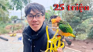 Dương KC  Chú Vẹt Siêu Thông Minh Biết Nhặt Đồ Vứt Vào Thùng Rác  Super Smart Parrots [upl. by Kcirevam298]