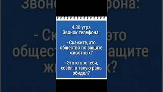 Надо же😂😂😂 юмор рекомендации прикол смех майнкрафт [upl. by Vinson]