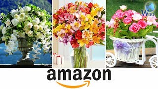 Amazon Flowers 5 Fast Facts [upl. by Heathcote898]