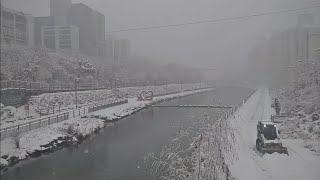 Heaviest snowfall in 42 years in Seoul South Korea Snow time lapse  12302023 [upl. by Selyn]