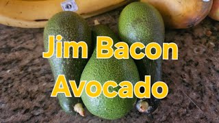 Jim Bacon 🥑Avocado🥑 Taste Test [upl. by Daiz]