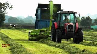 MF 6170 pulls the Claas  Silaging with a Trailed Chopper [upl. by Gurtner478]