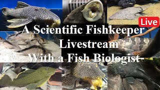 A Scientific Fishkeepers livestream Why Biology is Important to a Fishkeeper [upl. by Canice]