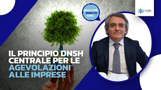 Alessandro Pescari  Il principio DNSH centrale per le agevolazioni alle imprese [upl. by Chesney490]