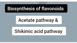 biosynthesis of flavonoids  Acetate pathway amp Shikimic acid pathway msc chemistry [upl. by Negris421]