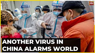 Another Virus In China Alarms World  Health Ministry Closely Monitors Outbreak [upl. by Casar119]