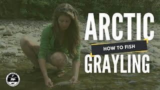 How to Fish for Arctic Grayling [upl. by Winston]