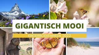 ©Gigantisch mooi  kinderlied voor kleuters en groep 345  thema NATUUR [upl. by Elisa]