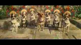 Beverly Hills Chihuahua Trailer good one [upl. by Nottage]