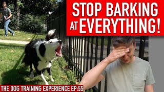 How to Train Your Dog to STOP BARKING at EVERYTHING That Moves [upl. by Nnoryt806]