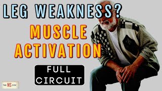 LEG WEAKNESS  FULL CIRCUIT  Exercises for Multiple Sclerosis [upl. by Aserehtairam]