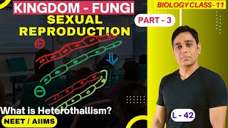 Biological Classification  Fungi  Lecture 42  Biology  Class 11  CBSE  NEET  AIIMS [upl. by Bird]