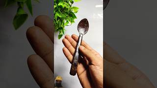 Coconut shell spoon making 🥥👈 diy craft shortsfeed shorts art [upl. by Nikita550]