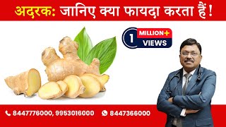 Ginger  Know the Benefits  By Dr Bimal Chhajer  Saaol [upl. by Nytsirc]