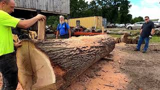 quarter sawing a monster white oak log  463 [upl. by Haven]