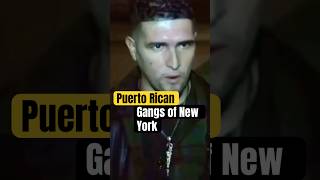 Puerto Rican Gangs of New York [upl. by Elocaj283]