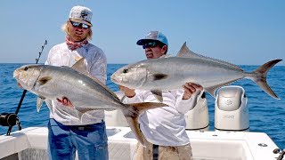 Absolutely INSANE Topwater Amberjack Fishing Action  4K [upl. by Ocirderf617]