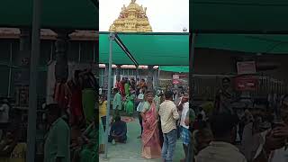 vadapalli venkateswara swamy temple  vadapalli venkanna  vadapalli temple [upl. by Ahtiekal]