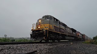 Maroon amp Grey In Rain [upl. by Anabal]