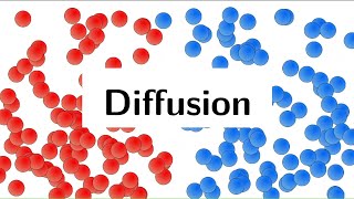 Diffusion Animation Physics [upl. by Notserk]