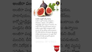 Health Benefits of Figs Anjira HealthTips ImmunityBoost [upl. by Starr662]