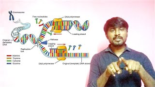 Enzymes and Mechanism of Replication  Molecular Genetics  Class 12  Neet Biology [upl. by Oidivo384]