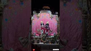 🪷Auspicious Mangal Aarti of Sri Sri Krishna Balaram in Rama Ekadashi 🪷vrindavanlovemayapurkirtan [upl. by Stuppy]