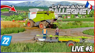 🔴 ON CONTINUE LA MOISSON DANS LE TRITICALE  Nouveau décor  Live Ferme du Haut Pallegney [upl. by Serdna]