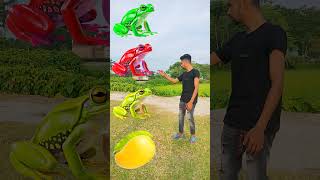 Mango Pomegranate orange grapes from frog  funny vfx 😄 shorts tending [upl. by Aldus750]