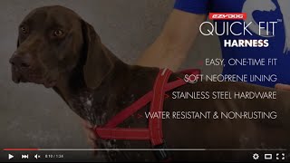 How to Fit Your Dogs Harness  EzyDog QuickFit Harness [upl. by Avla]