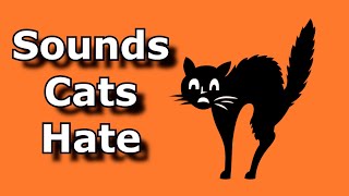 SOUNDS CATS HATE  Sound To Scare Cats and Dogs  Ultrasonic Alarm To Scare Off Animals [upl. by Chas]