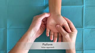 WRIST and HAND  PALPATION Pisiform [upl. by Solraced]