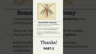 cockroach anatomy of cockroach scibioecplorer [upl. by Arihas]