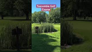 Tuscumbia is in pristine condition [upl. by Norret15]