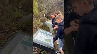 Pathfinders explore Roaring River State Park exploremore pathfinderstrong [upl. by Dlonyer]