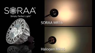 SORAA LED MR16 Full Spectrum Light Bulb Overview amp Comparison by Total Lighting Supply [upl. by Sitarski]