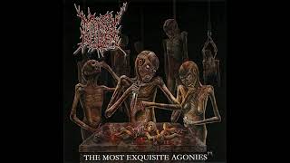 Mindly Rotten  The Most Exquisite Agonies Full Album [upl. by Scheider]