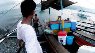 Wow Grabe Ang Jackpot sa mga Mamahaling Isadang Huli fishing fish viralvideo [upl. by Simson]